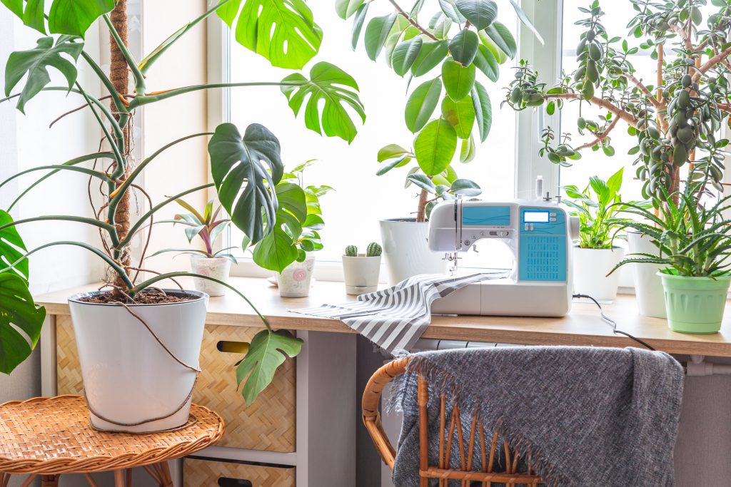 Revolutionize Your Space: Discover the Ultimate Eco-Friendly Solutions for a Warmer Home Revolutionize Your Space: Discover the Ultimate Eco-Friendly Solutions for a Warmer Home